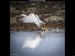 IMG012 (1) (1) (1) (1) (1) (1) (1) (1) (1) (1) (1) (1) (1) (1) (1) (1) (1) (1) (1) (1) (1) (1) (1) (1) (1) (1) (1) (1) (1) (1) (1) (1) (1) (1) (1) (1) (1) (1) (1) (1) (1) (1) (1) (1) (1)