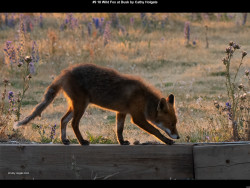 IMG012 (1) (1) (1) (1) (1) (1) (1) (1) (1) (1) (1) (1) (1) (1) (1) (1) (1) (1) (1) (1) (1) (1) (1) (1) (1) (1) (1) (1) (1) (1) (1) (1) (1) (1) (1) (1) (1) (1) (1) (1) (1) (1) (1) (1) (1) (1) (1) (1) (1) (1) (1)