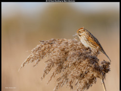 IMG012 (1) (1) (1) (1) (1) (1) (1) (1) (1) (1) (1) (1) (1) (1) (1) (1) (1) (1) (1) (1) (1) (1) (1) (1) (1) (1) (1) (1) (1) (1) (1) (1) (1) (1) (1) (1) (1) (1) (1) (1) (1) (1) (1) (1) (1) (1) (1) (1) (1) (1) (1) (1) (1) (1) (1) (1) (1)