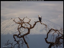 IMG013 (1) (1) (1) (1) (1) (1)