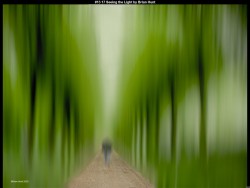 IMG013 (1) (1) (1) (1) (1) (1) (1) (1)