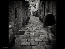 IMG013 (1) (1) (1) (1) (1) (1) (1) (1) (1) (1) (1) (1)