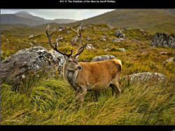 IMG013 (1) (1) (1) (1) (1) (1) (1) (1) (1) (1) (1) (1) (1) (1) (1) (1) (1) (1) (1) (1) (1) (1) (1)