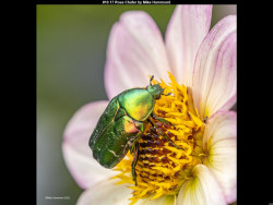 IMG013 (1) (1) (1) (1) (1) (1) (1) (1) (1) (1) (1) (1) (1) (1) (1) (1) (1) (1) (1) (1) (1) (1) (1) (1) (1) (1) (1) (1) (1) (1)