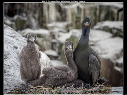 IMG013 (1) (1) (1) (1) (1) (1) (1) (1) (1) (1) (1) (1) (1) (1) (1) (1) (1) (1) (1) (1) (1) (1) (1) (1) (1) (1) (1) (1) (1) (1) (1) (1) (1) (1) (1) (1) (1)