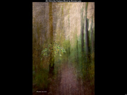 IMG013 (1) (1) (1) (1) (1) (1) (1) (1) (1) (1) (1) (1) (1) (1) (1) (1) (1) (1) (1) (1) (1) (1) (1) (1) (1) (1) (1) (1) (1) (1) (1) (1) (1) (1) (1) (1) (1) (1) (1) (1) (1) (1)