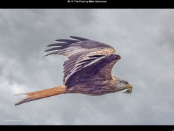 IMG013 (1) (1) (1) (1) (1) (1) (1) (1) (1) (1) (1) (1) (1) (1) (1) (1) (1) (1) (1) (1) (1) (1) (1) (1) (1) (1) (1) (1) (1) (1) (1) (1) (1) (1) (1) (1) (1) (1) (1) (1) (1) (1) (1)