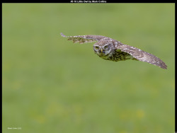 IMG013 (1) (1) (1) (1) (1) (1) (1) (1) (1) (1) (1) (1) (1) (1) (1) (1) (1) (1) (1) (1) (1) (1) (1) (1) (1) (1) (1) (1) (1) (1) (1) (1) (1) (1) (1) (1) (1) (1) (1) (1) (1) (1) (1) (1) (1) (1) (1) (1) (1) (1) (1)