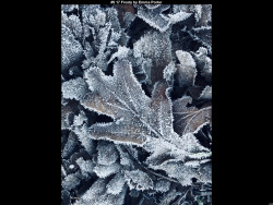 IMG013 (1) (1) (1) (1) (1) (1) (1) (1) (1) (1) (1) (1) (1) (1) (1) (1) (1) (1) (1) (1) (1) (1) (1) (1) (1) (1) (1) (1) (1) (1) (1) (1) (1) (1) (1) (1) (1) (1) (1) (1) (1) (1) (1) (1) (1) (1) (1) (1) (1) (1) (1) (1) (1)