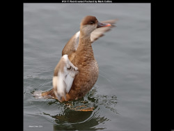 IMG013 (1) (1) (1) (1) (1) (1) (1) (1) (1) (1) (1) (1) (1) (1) (1) (1) (1) (1) (1) (1) (1) (1) (1) (1) (1) (1) (1) (1) (1) (1) (1) (1) (1) (1) (1) (1) (1) (1) (1) (1) (1) (1) (1) (1) (1) (1) (1) (1) (1) (1) (1) (1) (1) (1)