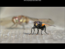 IMG013 (1) (1) (1) (1) (1) (1) (1) (1) (1) (1) (1) (1) (1) (1) (1) (1) (1) (1) (1) (1) (1) (1) (1) (1) (1) (1) (1) (1) (1) (1) (1) (1) (1) (1) (1) (1) (1) (1) (1) (1) (1) (1) (1) (1) (1) (1) (1) (1) (1) (1) (1) (1) (1) (1) (1) (1) (1)