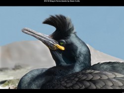 IMG014 (1) (1) (1) (1) (1) (1) (1) (1) (1) (1)