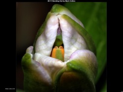 IMG014 (1) (1) (1) (1) (1) (1) (1) (1) (1) (1) (1) (1) (1)