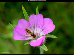 IMG014 (1) (1) (1) (1) (1) (1) (1) (1) (1) (1) (1) (1) (1) (1) (1) (1) (1) (1) (1) (1) (1) (1)