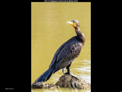 IMG014 (1) (1) (1) (1) (1) (1) (1) (1) (1) (1) (1) (1) (1) (1) (1) (1) (1) (1) (1) (1) (1) (1) (1)