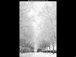 IMG014 (1) (1) (1) (1) (1) (1) (1) (1) (1) (1) (1) (1) (1) (1) (1) (1) (1) (1) (1) (1) (1) (1) (1) (1) (1) (1)