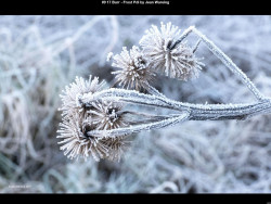 IMG014 (1) (1) (1) (1) (1) (1) (1) (1) (1) (1) (1) (1) (1) (1) (1) (1) (1) (1) (1) (1) (1) (1) (1) (1) (1) (1) (1) (1) (1) (1) (1)