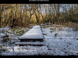 IMG014 (1) (1) (1) (1) (1) (1) (1) (1) (1) (1) (1) (1) (1) (1) (1) (1) (1) (1) (1) (1) (1) (1) (1) (1) (1) (1) (1) (1) (1) (1) (1) (1)