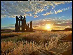 IMG014 (1) (1) (1) (1) (1) (1) (1) (1) (1) (1) (1) (1) (1) (1) (1) (1) (1) (1) (1) (1) (1) (1) (1) (1) (1) (1) (1) (1) (1) (1) (1) (1) (1) (1) (1) (1)