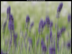 IMG014 (1) (1) (1) (1) (1) (1) (1) (1) (1) (1) (1) (1) (1) (1) (1) (1) (1) (1) (1) (1) (1) (1) (1) (1) (1) (1) (1) (1) (1) (1) (1) (1) (1) (1) (1) (1) (1) (1) (1) (1) (1)