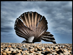 IMG014 (1) (1) (1) (1) (1) (1) (1) (1) (1) (1) (1) (1) (1) (1) (1) (1) (1) (1) (1) (1) (1) (1) (1) (1) (1) (1) (1) (1) (1) (1) (1) (1) (1) (1) (1) (1) (1) (1) (1) (1) (1) (1) (1) (1) (1)