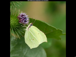 IMG014 (1) (1) (1) (1) (1) (1) (1) (1) (1) (1) (1) (1) (1) (1) (1) (1) (1) (1) (1) (1) (1) (1) (1) (1) (1) (1) (1) (1) (1) (1) (1) (1) (1) (1) (1) (1) (1) (1) (1) (1) (1) (1) (1) (1) (1) (1) (1) (1) (1) (1) (1)