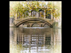 IMG014 (1) (1) (1) (1) (1) (1) (1) (1) (1) (1) (1) (1) (1) (1) (1) (1) (1) (1) (1) (1) (1) (1) (1) (1) (1) (1) (1) (1) (1) (1) (1) (1) (1) (1) (1) (1) (1) (1) (1) (1) (1) (1) (1) (1) (1) (1) (1) (1) (1) (1) (1) (1) (1) (1)