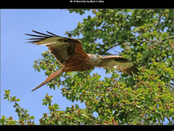 IMG014 (1) (1) (1) (1) (1) (1) (1) (1) (1) (1) (1) (1) (1) (1) (1) (1) (1) (1) (1) (1) (1) (1) (1) (1) (1) (1) (1) (1) (1) (1) (1) (1) (1) (1) (1) (1) (1) (1) (1) (1) (1) (1) (1) (1) (1) (1) (1) (1) (1) (1) (1) (1) (1) (1) (1) (1) (1)