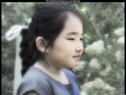 IMG015 (1) (1) (1) (1) (1) (1) (1)