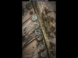 IMG015 (1) (1) (1) (1) (1) (1) (1) (1)