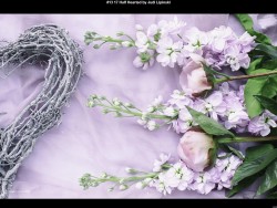 IMG015 (1) (1) (1) (1) (1) (1) (1) (1) (1)