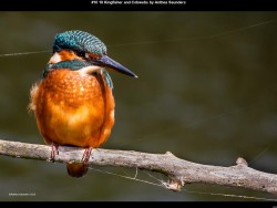 IMG015 (1) (1) (1) (1) (1) (1) (1) (1) (1) (1)