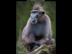 IMG015 (1) (1) (1) (1) (1) (1) (1) (1) (1) (1) (1) (1)