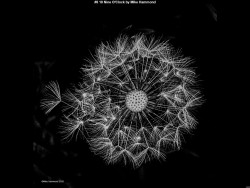 IMG015 (1) (1) (1) (1) (1) (1) (1) (1) (1) (1) (1) (1) (1) (1)