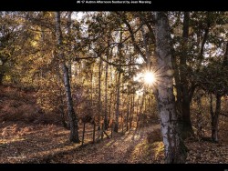 IMG015 (1) (1) (1) (1) (1) (1) (1) (1) (1) (1) (1) (1) (1) (1) (1)