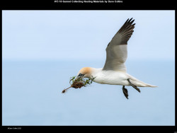 IMG015 (1) (1) (1) (1) (1) (1) (1) (1) (1) (1) (1) (1) (1) (1) (1) (1) (1) (1) (1) (1) (1) (1)