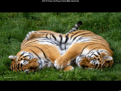 IMG015 (1) (1) (1) (1) (1) (1) (1) (1) (1) (1) (1) (1) (1) (1) (1) (1) (1) (1) (1) (1) (1) (1) (1)