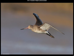 IMG015 (1) (1) (1) (1) (1) (1) (1) (1) (1) (1) (1) (1) (1) (1) (1) (1) (1) (1) (1) (1) (1) (1) (1) (1) (1)