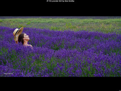 IMG015 (1) (1) (1) (1) (1) (1) (1) (1) (1) (1) (1) (1) (1) (1) (1) (1) (1) (1) (1) (1) (1) (1) (1) (1) (1) (1) (1)