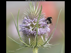 IMG015 (1) (1) (1) (1) (1) (1) (1) (1) (1) (1) (1) (1) (1) (1) (1) (1) (1) (1) (1) (1) (1) (1) (1) (1) (1) (1) (1) (1) (1) (1) (1) (1)