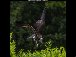 IMG015 (1) (1) (1) (1) (1) (1) (1) (1) (1) (1) (1) (1) (1) (1) (1) (1) (1) (1) (1) (1) (1) (1) (1) (1) (1) (1) (1) (1) (1) (1) (1) (1) (1) (1) (1) (1) (1) (1) (1) (1) (1) (1) (1) (1) (1) (1) (1) (1) (1) (1) (1)