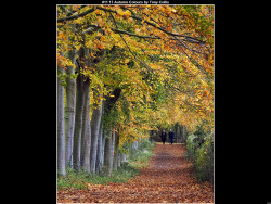 IMG015 (1) (1) (1) (1) (1) (1) (1) (1) (1) (1) (1) (1) (1) (1) (1) (1) (1) (1) (1) (1) (1) (1) (1) (1) (1) (1) (1) (1) (1) (1) (1) (1) (1) (1) (1) (1) (1) (1) (1) (1) (1) (1) (1) (1) (1) (1) (1) (1) (1) (1) (1) (1)