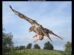 IMG016 (1) (1) (1) (1) (1) (1)