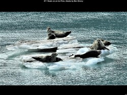 IMG016 (1) (1) (1) (1) (1) (1) (1) (1) (1) (1) (1) (1)