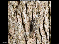 IMG016 (1) (1) (1) (1) (1) (1) (1) (1) (1) (1) (1) (1) (1) (1) (1) (1) (1) (1) (1) (1)