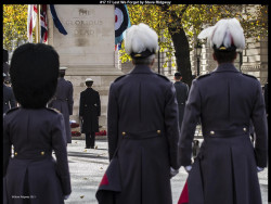 IMG016 (1) (1) (1) (1) (1) (1) (1) (1) (1) (1) (1) (1) (1) (1) (1) (1) (1) (1) (1) (1) (1) (1) (1) (1) (1) (1) (1)