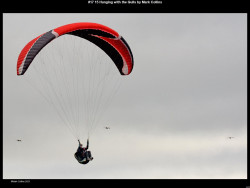 IMG016 (1) (1) (1) (1) (1) (1) (1) (1) (1) (1) (1) (1) (1) (1) (1) (1) (1) (1) (1) (1) (1) (1) (1) (1) (1) (1) (1) (1)