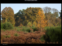 IMG016 (1) (1) (1) (1) (1) (1) (1) (1) (1) (1) (1) (1) (1) (1) (1) (1) (1) (1) (1) (1) (1) (1) (1) (1) (1) (1) (1) (1) (1)