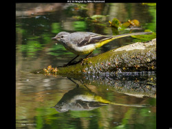 IMG016 (1) (1) (1) (1) (1) (1) (1) (1) (1) (1) (1) (1) (1) (1) (1) (1) (1) (1) (1) (1) (1) (1) (1) (1) (1) (1) (1) (1) (1) (1) (1) (1) (1) (1) (1) (1) (1) (1) (1) (1) (1) (1)