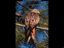 IMG016 (1) (1) (1) (1) (1) (1) (1) (1) (1) (1) (1) (1) (1) (1) (1) (1) (1) (1) (1) (1) (1) (1) (1) (1) (1) (1) (1) (1) (1) (1) (1) (1) (1) (1) (1) (1) (1) (1) (1) (1) (1) (1) (1) (1) (1)